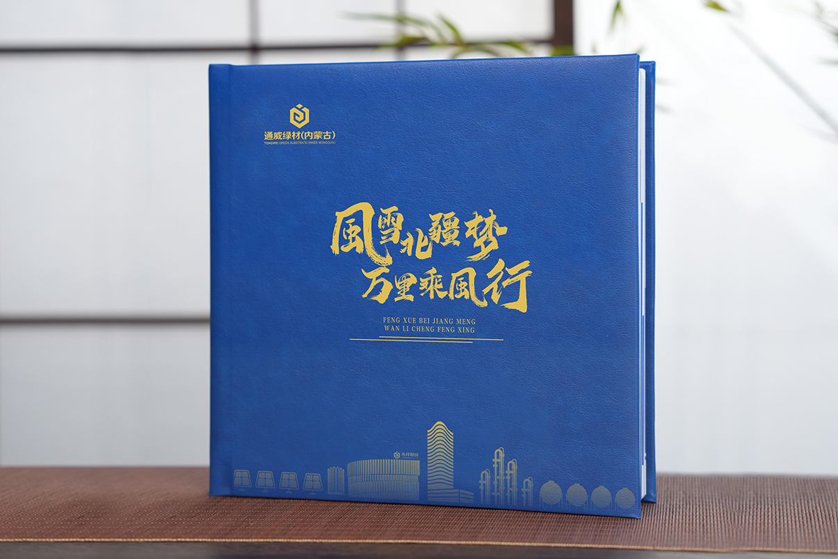 风雪北疆梦 万里乘风行